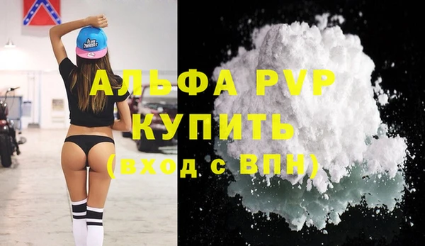 твердый Абаза