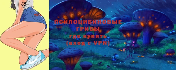 твердый Абаза