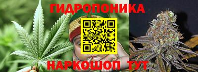 ECSTASY Ливны