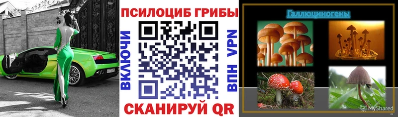 Галлюциногенные грибы Psilocybine cubensis  цена   omg зеркало  Новоуральск 