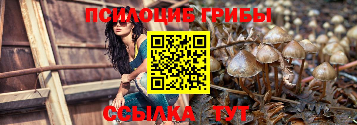 Псилоцибиновые грибы Cubensis Новоуральск